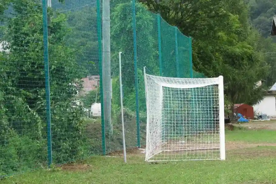 bg02